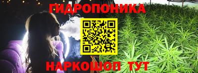 соль ск Будённовск