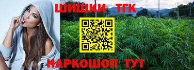 соль ск Будённовск