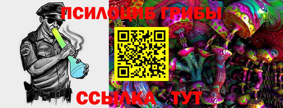 Чебоксары  Галлюциногенные грибы MAGIC MUSHROOMS  Вход с VPN 